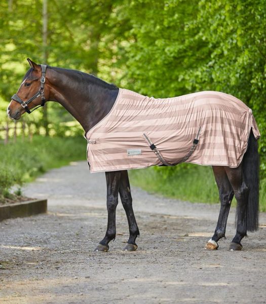 WALDHAUSEN Economic fly rug with cross surcingles