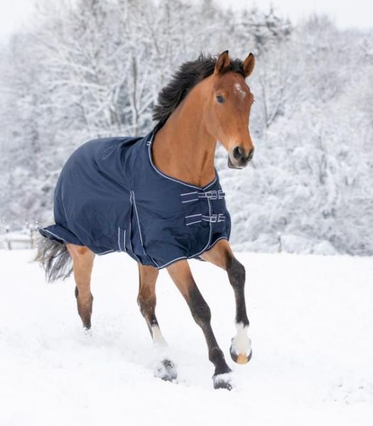 WALDHAUSEN Economic Fleece horse blanket