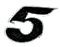 MM STARTNUMMER "5" schwarz 9cm